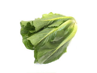 スナックレタス