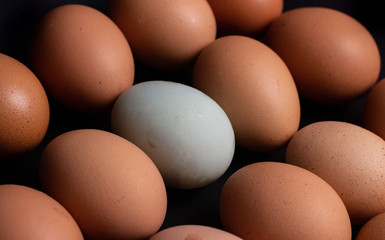 eggs isolated on black background