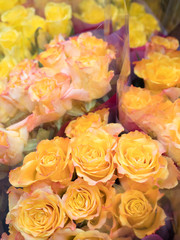 店頭に並んだバラの花