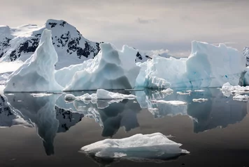 Stof per meter Interessante vormen van ijsbergen weerspiegeld in de wateren van Paradise Habour, Antarctica © Sharon Jones
