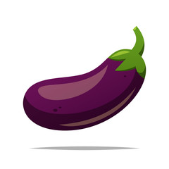 Eggplant vegetable vector isolated illustration