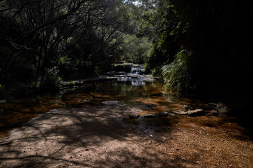 Fototapeta premium Wentforth Falls has various tracks and waterfalls to be seen in the Blue Mountains, New South Wales, Australia