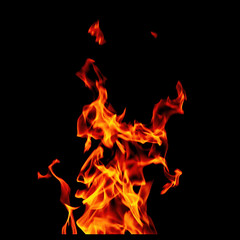 Fire flame isolated on black background. Beautiful yellow, orange and red blaze fire flames. For action design.