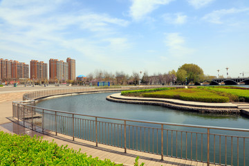 Waterfront City Architectural Landscape