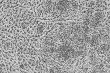 White natural leather texture with a pattern. Real grey animal skin background texture.