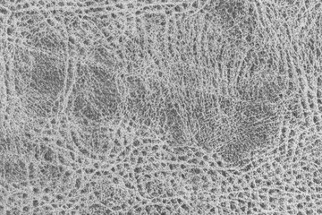 White natural leather texture with a pattern. Real grey animal skin background texture.