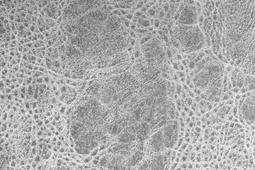 White natural leather texture with a pattern. Real grey animal skin background texture.
