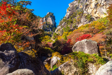 Kofu. Japan Autumn canyon. Colorful Trees at Shosenkyo Gorge. Cliffs of the autumn canyon. Cliff rises above the Shosenkyo gorge. Nature of East Asia. Japan autumn. Walking through the Kofu Gorges