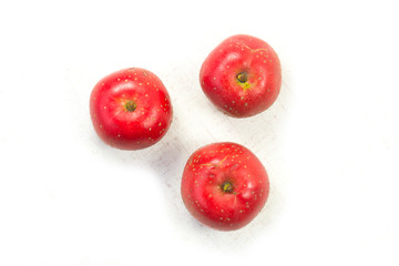The hawthorn stands alone on a white background