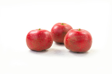 The hawthorn stands alone on a white background