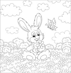 Loving little bunny and a funny butterfly dreaming and telling fortunes with a daisy on grass of a summer field on a beautiful sunny day, black and white vector cartoon illustration
