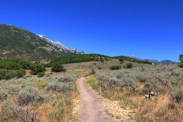 Fototapeta na wymiar Mountain biking trail through Sagebrush, Utah