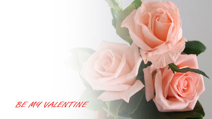 soft defocused of fresh rose  for valentine ,wedding card.