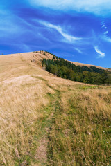Trail in the Carpathian Mountains