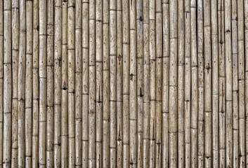 background of bamboo