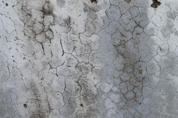 Spotted plastered wall. Rough texture with cracks. Monochrome gray background. Stock Photo with place for your text.