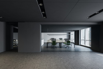 Fototapeta premium Gray and glass open space office