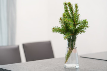 Fresh spruce twigs in glass vase on terrazzo countertop