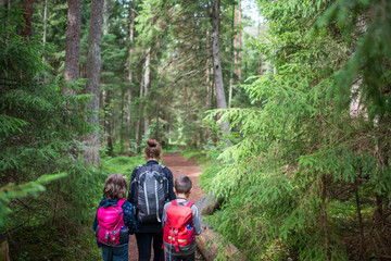 Promeneurs (femme, fille et garçon) dans la forêt, Parc national de Lahemaa, Estonie.