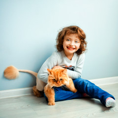 5 years old smiling girl hug red persian cat with short haircut in lion style on gray background. Child smiles and tries to catch cat. Cat goes away. Friendship between human and animal, child and cat