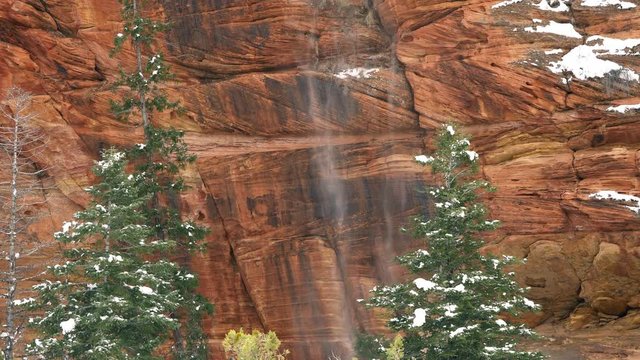 Snow falling down cliff in Zion during winter past pine trees in front of red rock.