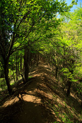 蛭ヶ岳、丹沢山、塔ノ岳 14