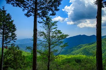 Obraz premium 蛭ヶ岳、丹沢山、塔ノ岳 15