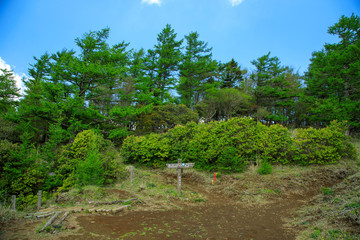 蛭ヶ岳、丹沢山、塔ノ岳 23