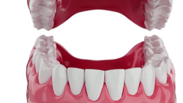 Slow motion Closeup Beautiful Clean Teeth with alpha matte. 3D Animation  4K.
