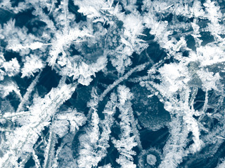 winter background with snowflakes crystals patterns and snow on frozen grass