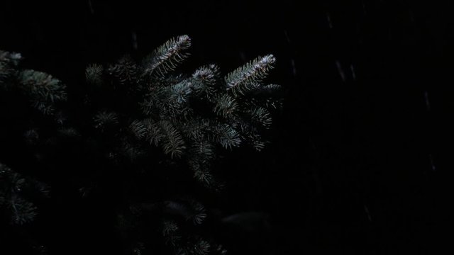 Heavy snow falls in the winter park at night. Dark background for the inscription and design of the video.