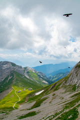 Pilatus Mountain hiking track with green grasslands and the Mountain  