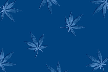 Toned blue Hemp or cannabis leaves pattern on blue background. Top view,