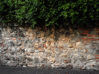 stone wall of the old town with green vines