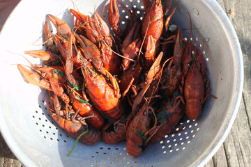 Boiled crayfish in a plate close-up, background, wallpaper