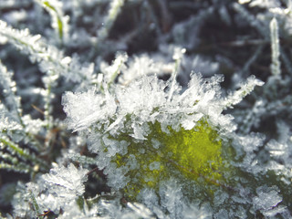 winter background with snowflakes crystals patterns and snow on frozen grass
