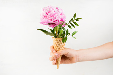 A child's hand holds a waffle cone with a pink peony. Creative still life with a flower sticking...