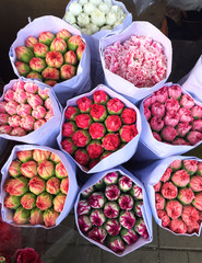 Colorful flowers in spring time