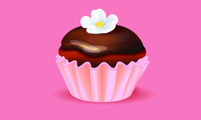 cupcake with chocolate icing 