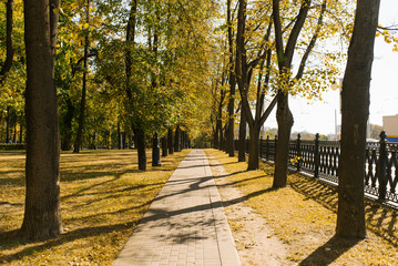 City alley in autumn in the Park