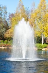Fototapeta na wymiar A fountain on a pond