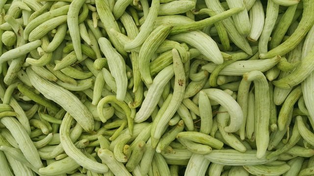 cucumber sales in the market
