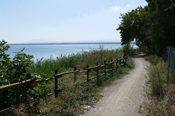 Fototapeta na wymiar ring cycle path along Trasimeno Lake through the woods and vegetation in the Regional Park.