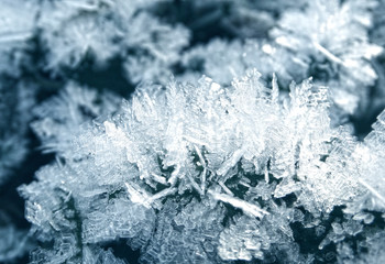 winter background with snowflakes crystals patterns and snow on frozen grass