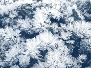 winter background with snowflakes crystals patterns and snow on frozen grass