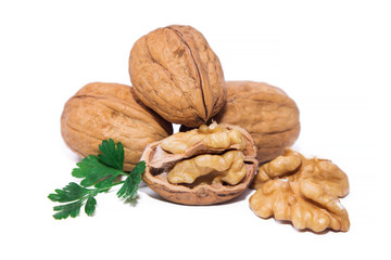 tasty nuts isolated on white