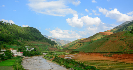Terraced rice field in Northwest Vietnam