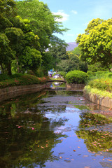 Fototapeta na wymiar bridge in park on a summers day reflected in water