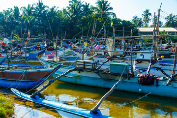 Fishing boats stand in Harbour, fish market in Sri Lanka.