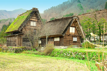 Fototapeta na wymiar Historic villages of Shirakawa-go, Japan.